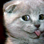 Phethai.Sp_'s Avatar'