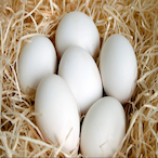 ubiMartin2005's Avatar'