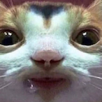 Medi_C's Avatar'