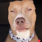 EdgyAdrian's Avatar'