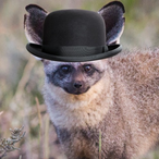 A_Dapper_Fox's Avatar'