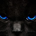 rodriracing16's Avatar'