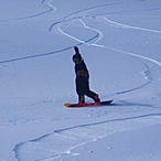 shred for fred's Avatar'