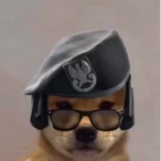 DunkHeadInWax's Avatar'