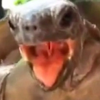 PowderedMiIk's Avatar'