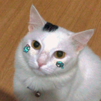yAmanda2004's Avatar'