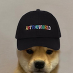 Spagety212's Avatar'