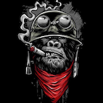 FlyingCat49's Avatar'