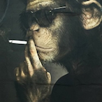 Monkey_1624's Avatar'