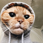 sticky-vickey2's Avatar'