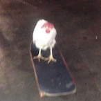 trisharaee's Avatar'