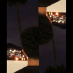 Acttive's Avatar'