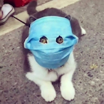 euqxzz's Avatar'