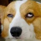 l8--MONSTER--8l's Avatar'