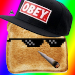 t0astyXD's Avatar'