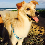 Ageu_Augusto's Avatar'