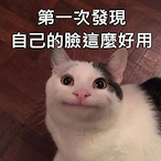 OneTaB._.KDF's Avatar'