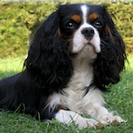 FlatBlack112's Avatar'