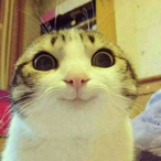 DeRaverBever's Avatar'