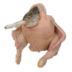 potekate's Avatar'