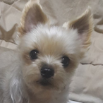 vxkuyl's Avatar'