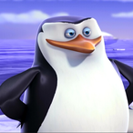 samuel55771's Avatar'