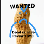Savage_Peanut5's Avatar'