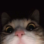 fortgod47329843's Avatar'