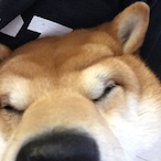 maxrabena007's Avatar'