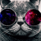 MibbeX's Avatar'
