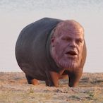 Hipopothanos's Avatar'