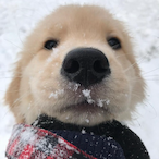 Buxiangwanla--'s Avatar'