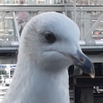 WomanBeater123's Avatar