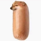 SausageMan69's Avatar'
