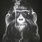 Taipan-1981-'s Avatar