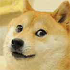 SHOTU's Avatar'
