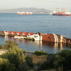 stesal1969's Avatar'