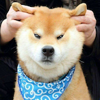 gougouyaoji's Avatar'
