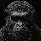Tiodelux's Avatar'