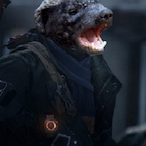 l Mr Badger l's Avatar