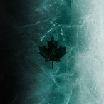 GruYuXx_RxTd's Avatar'
