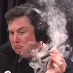 SaugenderSauger's Avatar'