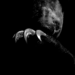 Nallu-'s Avatar'