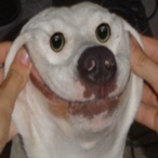 maffedyl's Avatar'