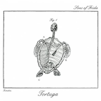 Sneaky_Tortuga's Avatar'