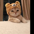 AwwwDatsCute's Avatar'