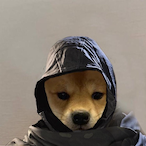 SpaceJA_'s Avatar'