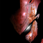 Cortaprepucios's Avatar'