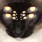 Stoneyboy02's Avatar'