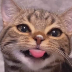 yqexIbandz's Avatar'